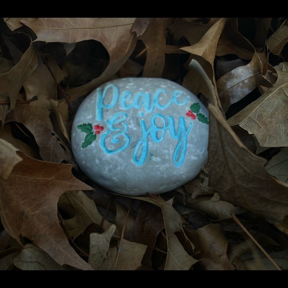 PET ROCK - Picture 1 of 1
